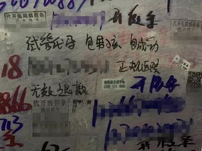 供卵代孕双胞胎